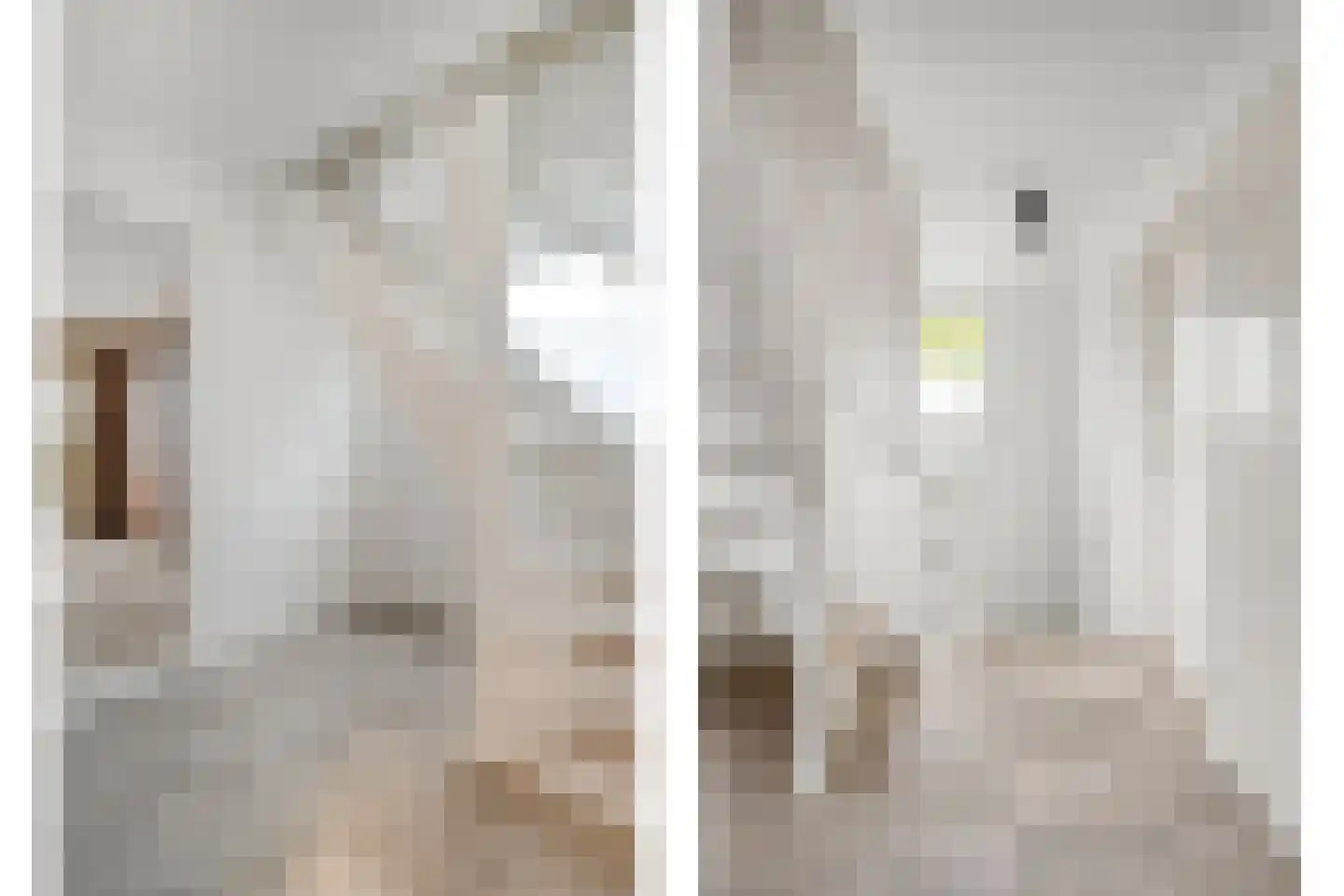 Adelaarweg 33 Dedemsvaart thumbnail 26