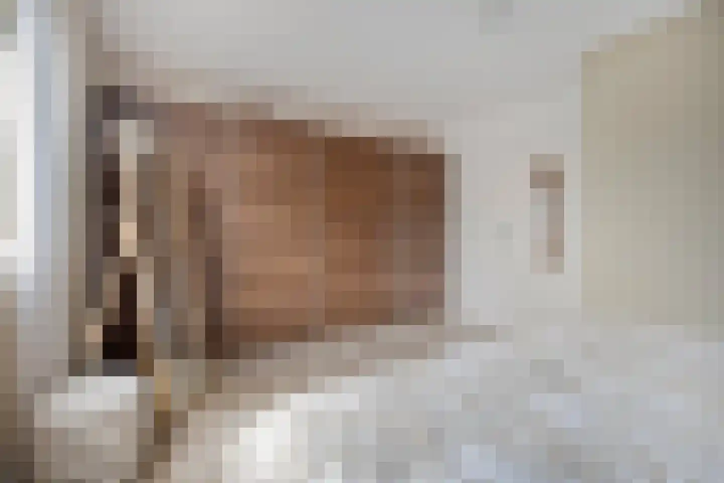 Adelaarweg 33 Dedemsvaart thumbnail 29