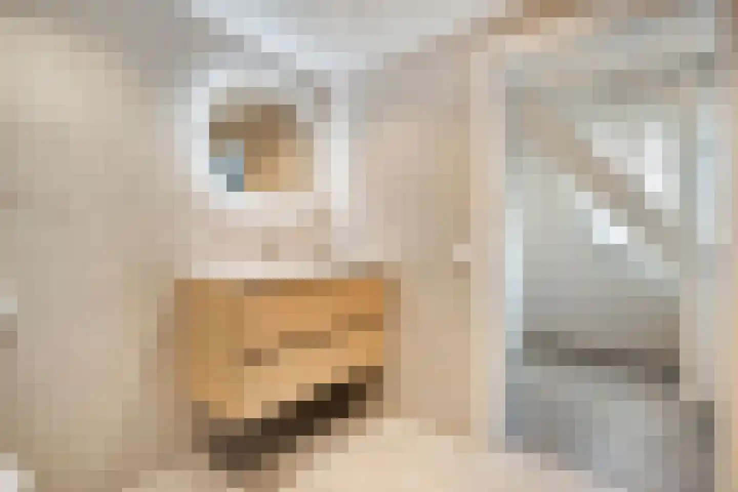 Adelaarweg 33 Dedemsvaart thumbnail 34