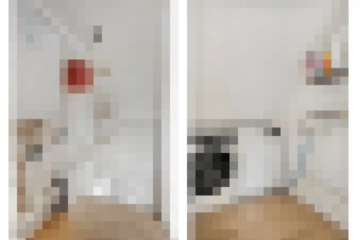 Adelaarweg 33 Dedemsvaart thumbnail 35