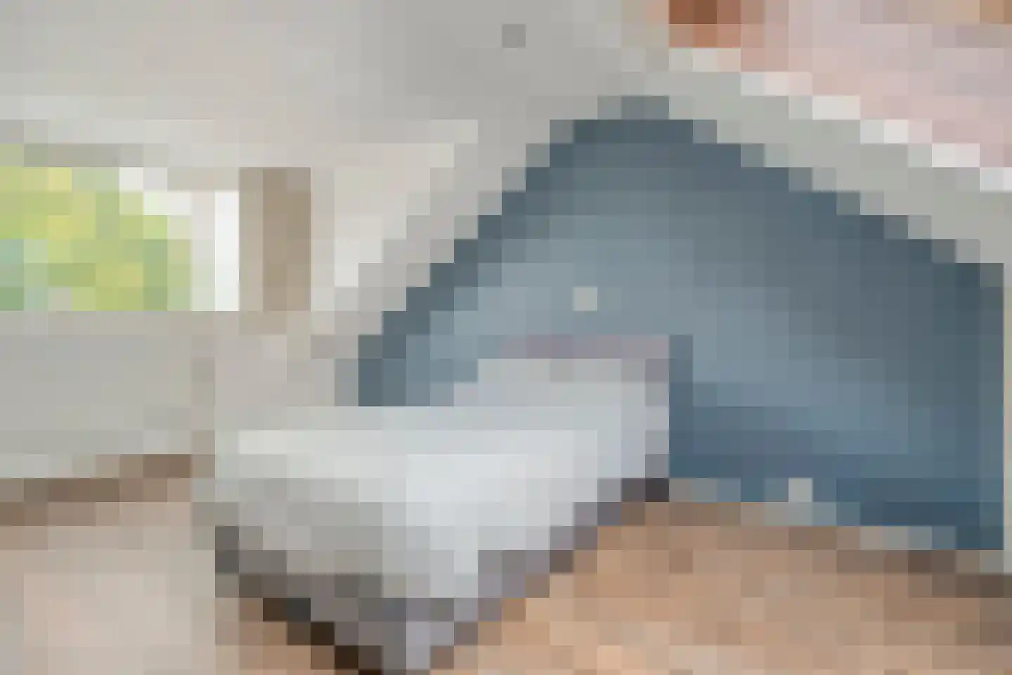 Adelaarweg 33 Dedemsvaart thumbnail 36