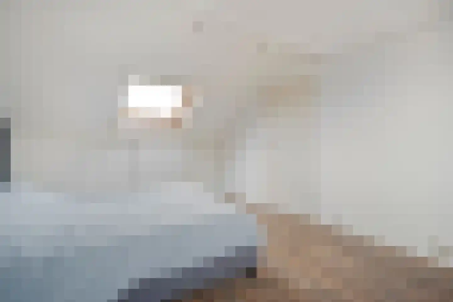 Adelaarweg 33 Dedemsvaart thumbnail 37