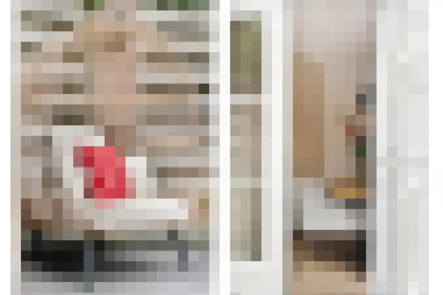 Adelaarweg 33 Dedemsvaart thumbnail 38