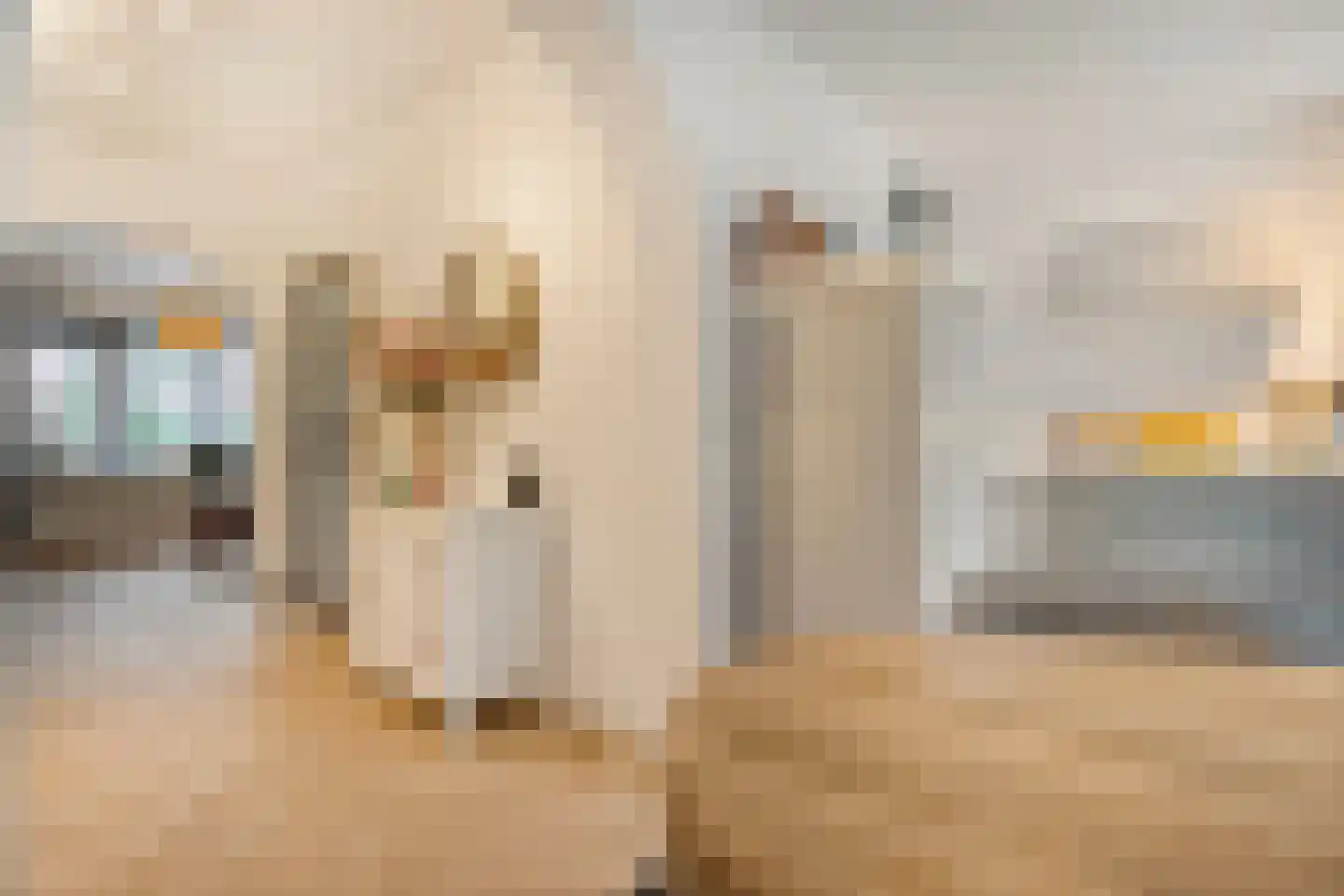 Adelaarweg 33 Dedemsvaart thumbnail 4