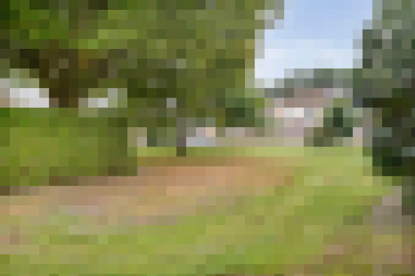 Adelaarweg 33 Dedemsvaart thumbnail 42