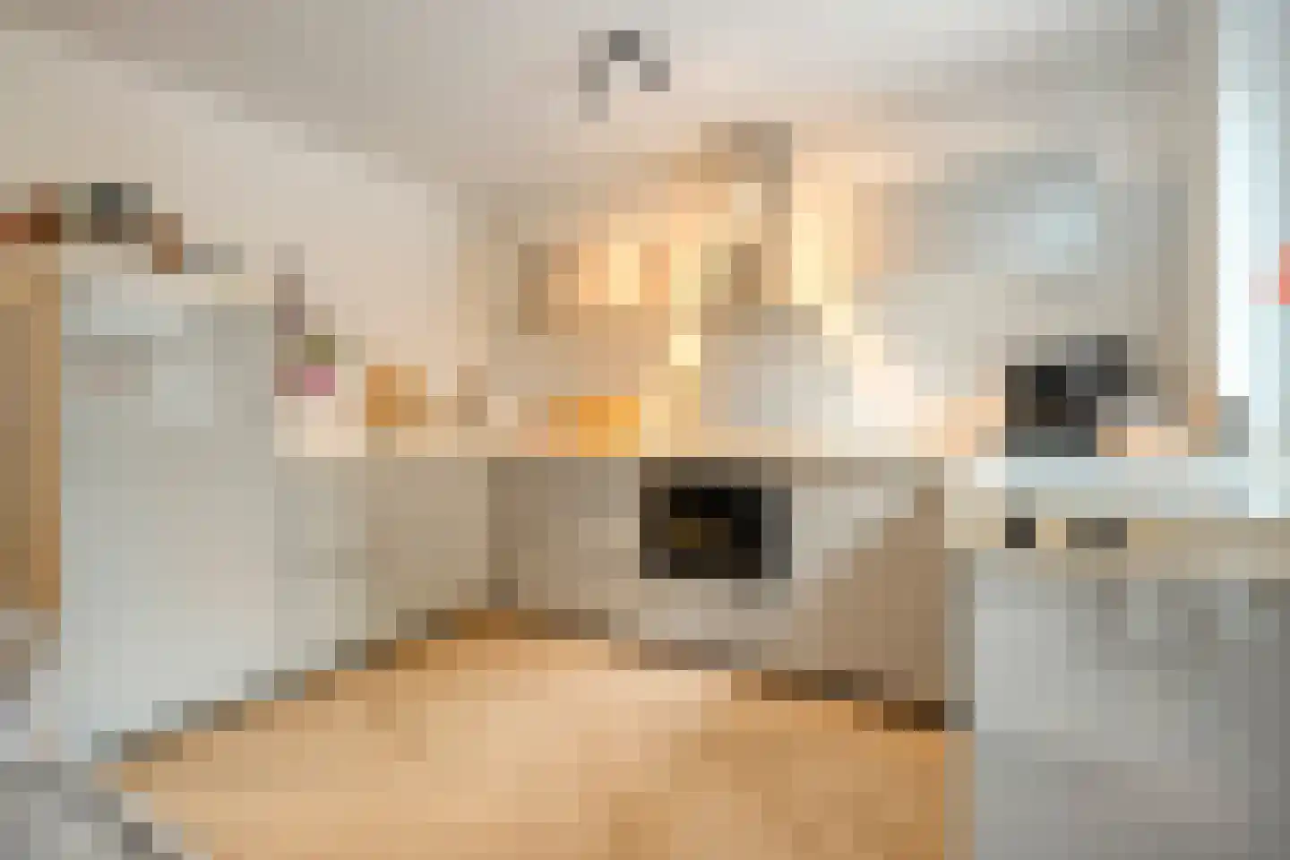 Adelaarweg 33 Dedemsvaart thumbnail 5