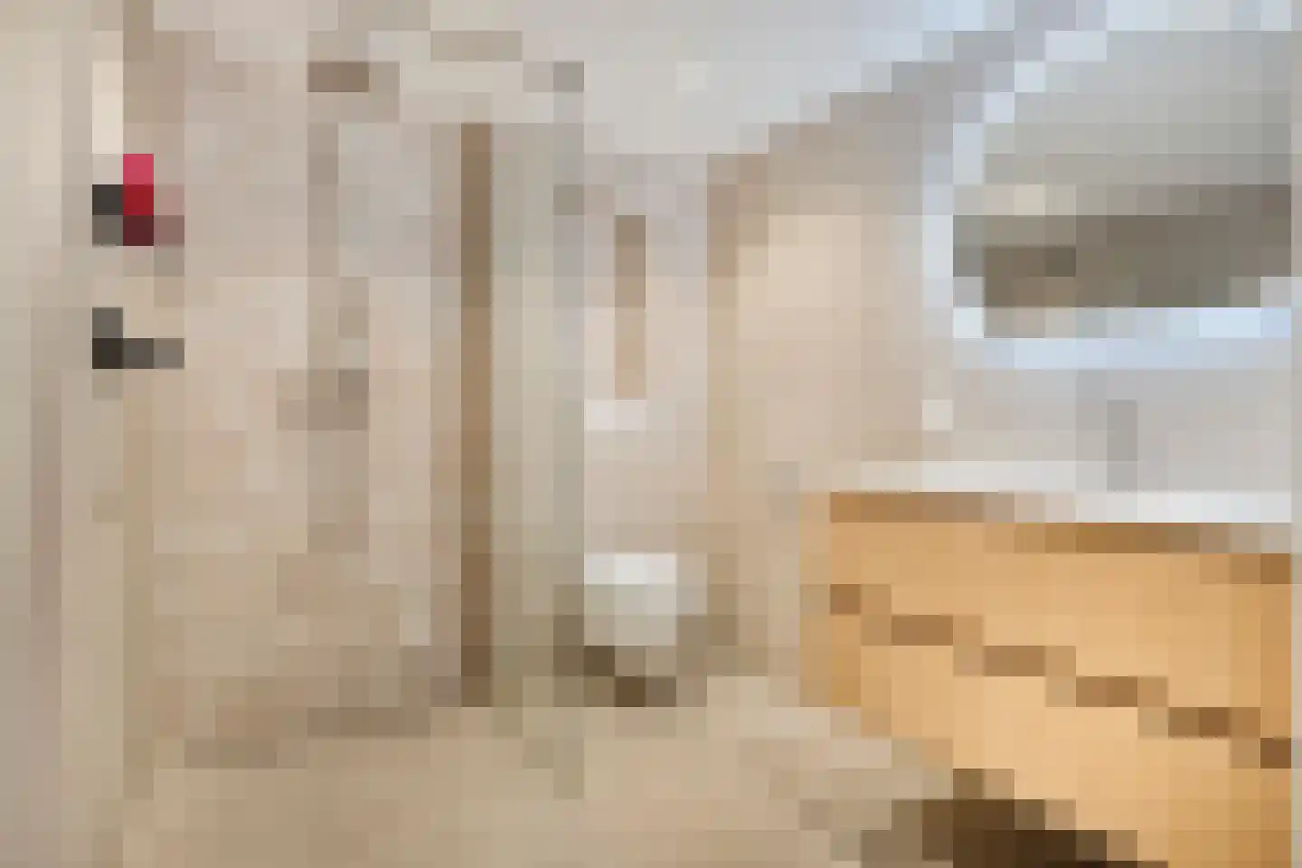 Adelaarweg 33 Dedemsvaart thumbnail 6