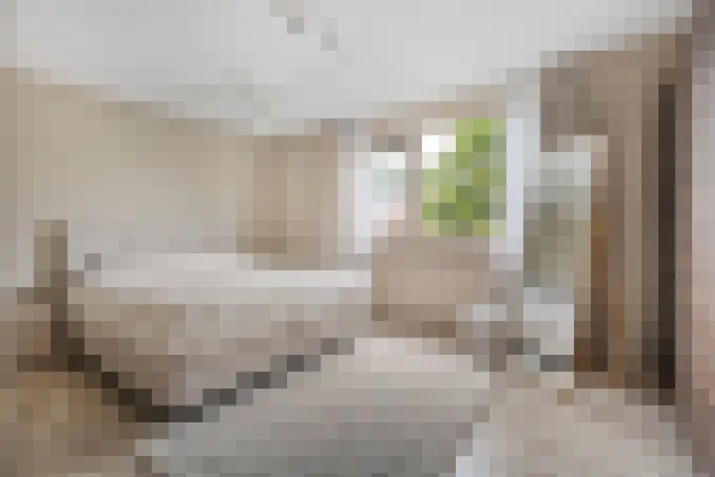Adelaarweg 33 Dedemsvaart thumbnail 7