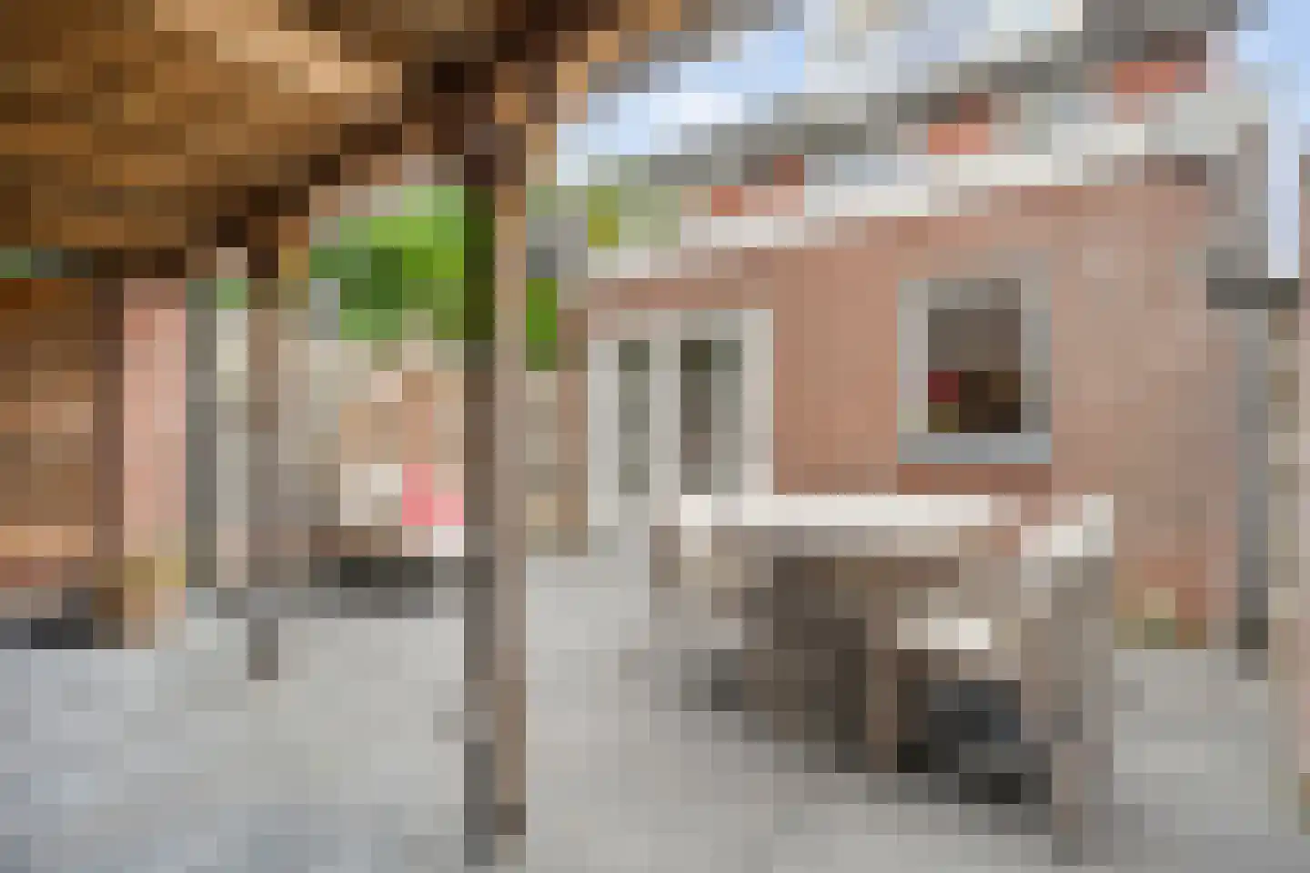Adelaarweg 33 Dedemsvaart thumbnail 8