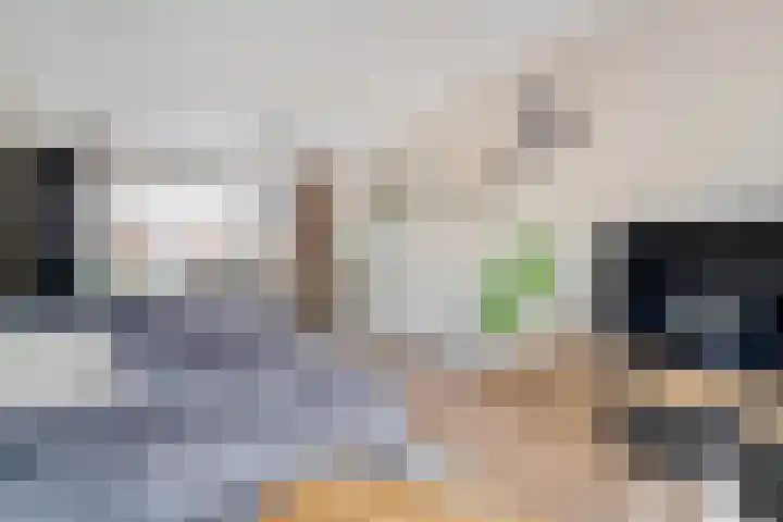 Adelaarweg 48 Dedemsvaart thumbnail 10