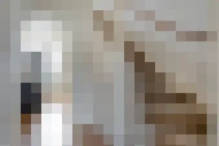 Adelaarweg 48 Dedemsvaart thumbnail 13