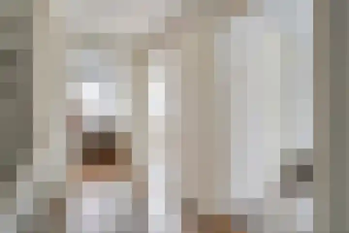 Adelaarweg 48 Dedemsvaart thumbnail 15