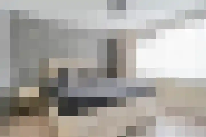 Adelaarweg 48 Dedemsvaart thumbnail 16