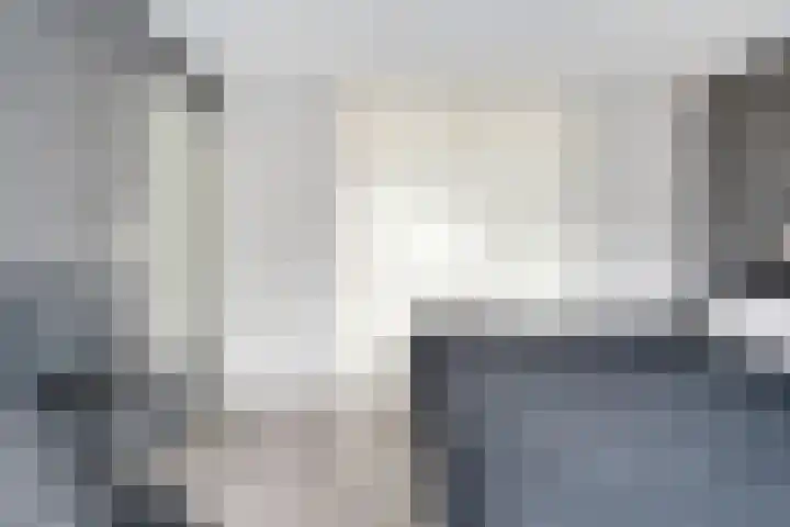 Adelaarweg 48 Dedemsvaart thumbnail 17