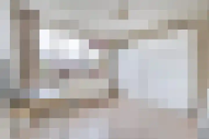 Adelaarweg 48 Dedemsvaart thumbnail 18