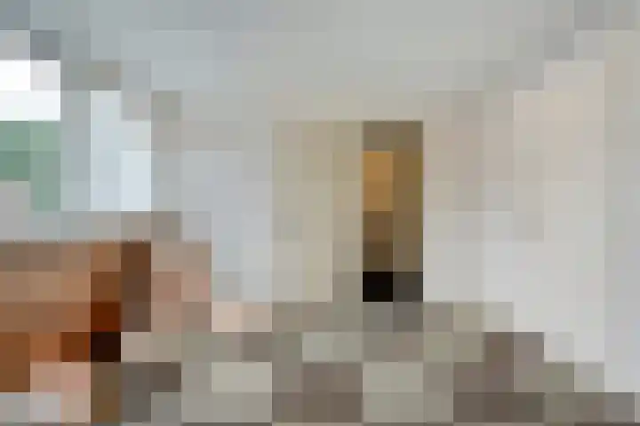 Adelaarweg 48 Dedemsvaart thumbnail 24