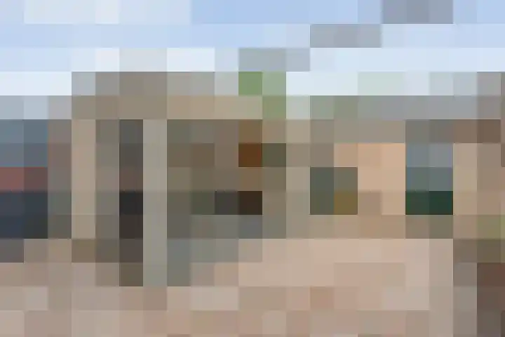 Adelaarweg 48 Dedemsvaart thumbnail 25