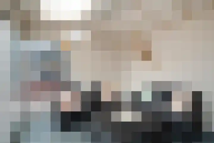 Adelaarweg 48 Dedemsvaart thumbnail 27