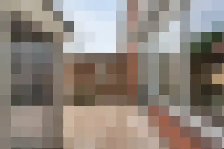 Adelaarweg 48 Dedemsvaart thumbnail 30