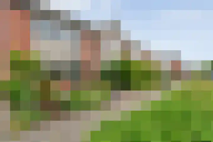 Adelaarweg 48 Dedemsvaart thumbnail 31