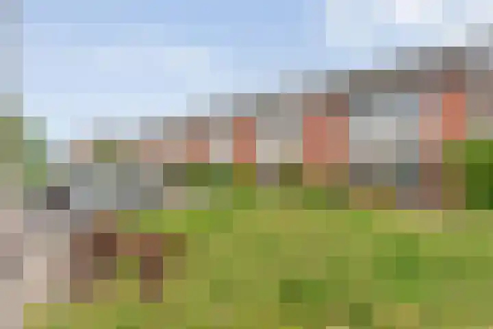 Adelaarweg 48 Dedemsvaart thumbnail 32