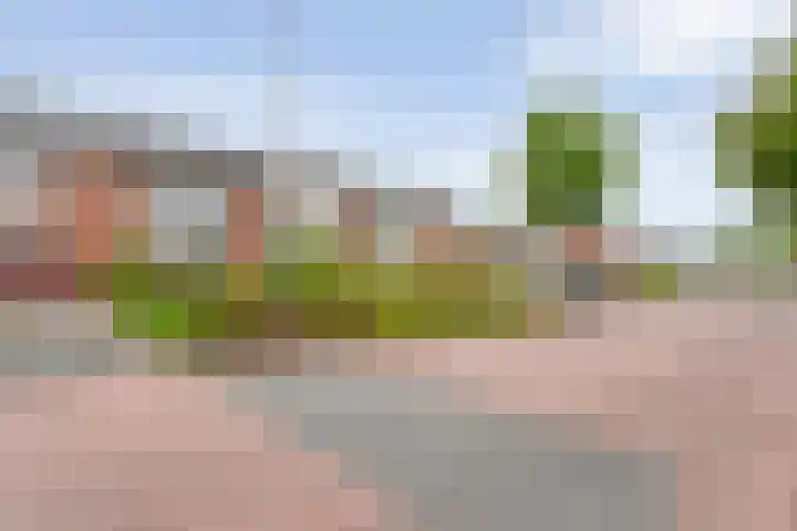 Adelaarweg 48 Dedemsvaart thumbnail 33