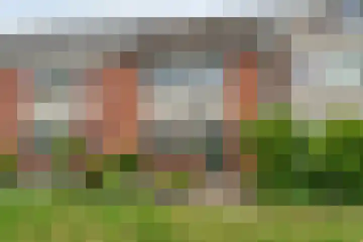 Adelaarweg 48 Dedemsvaart thumbnail 39