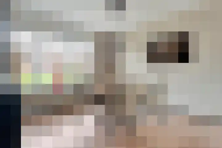 Adelaarweg 48 Dedemsvaart thumbnail 6