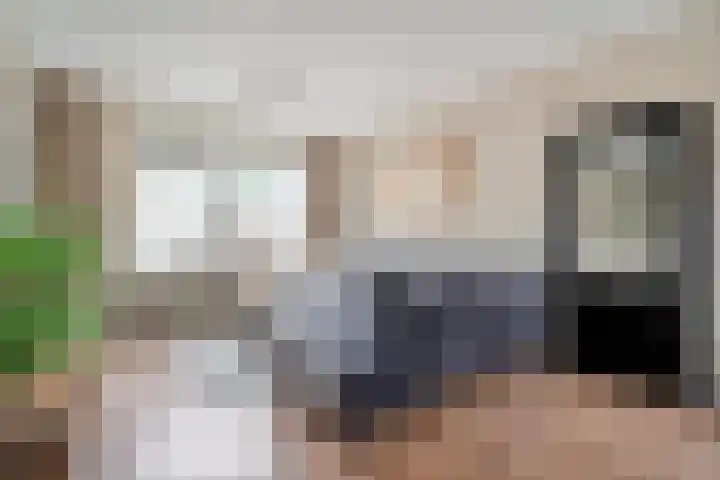 Adelaarweg 48 Dedemsvaart thumbnail 8