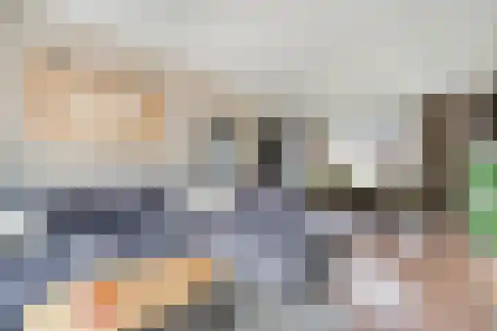 Adelaarweg 48 Dedemsvaart thumbnail 9