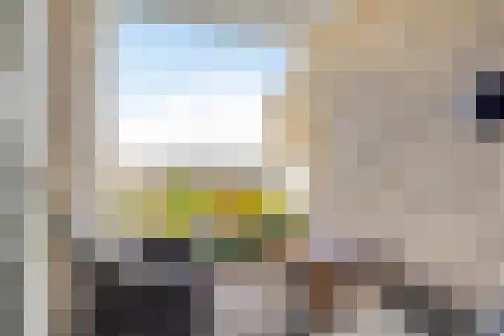 Adelaert 31 Noordwijk thumbnail 16