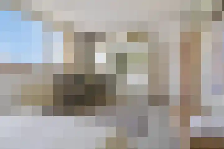 Adelaert 31 Noordwijk thumbnail 20