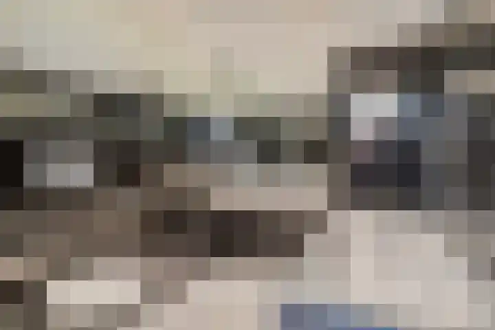 Adelaert 31 Noordwijk thumbnail 21