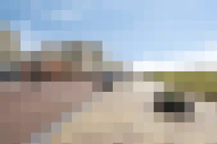 Adelaert 31 Noordwijk thumbnail 26