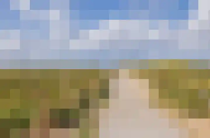 Adelaert 31 Noordwijk thumbnail 29