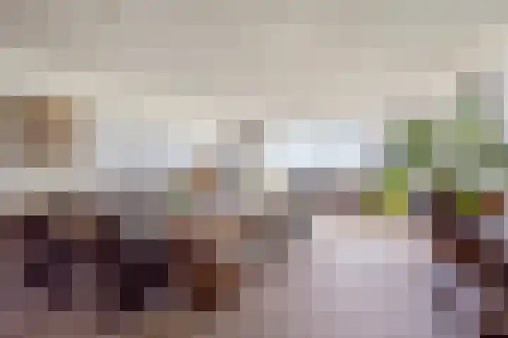 Adelaert 31 Noordwijk thumbnail 6