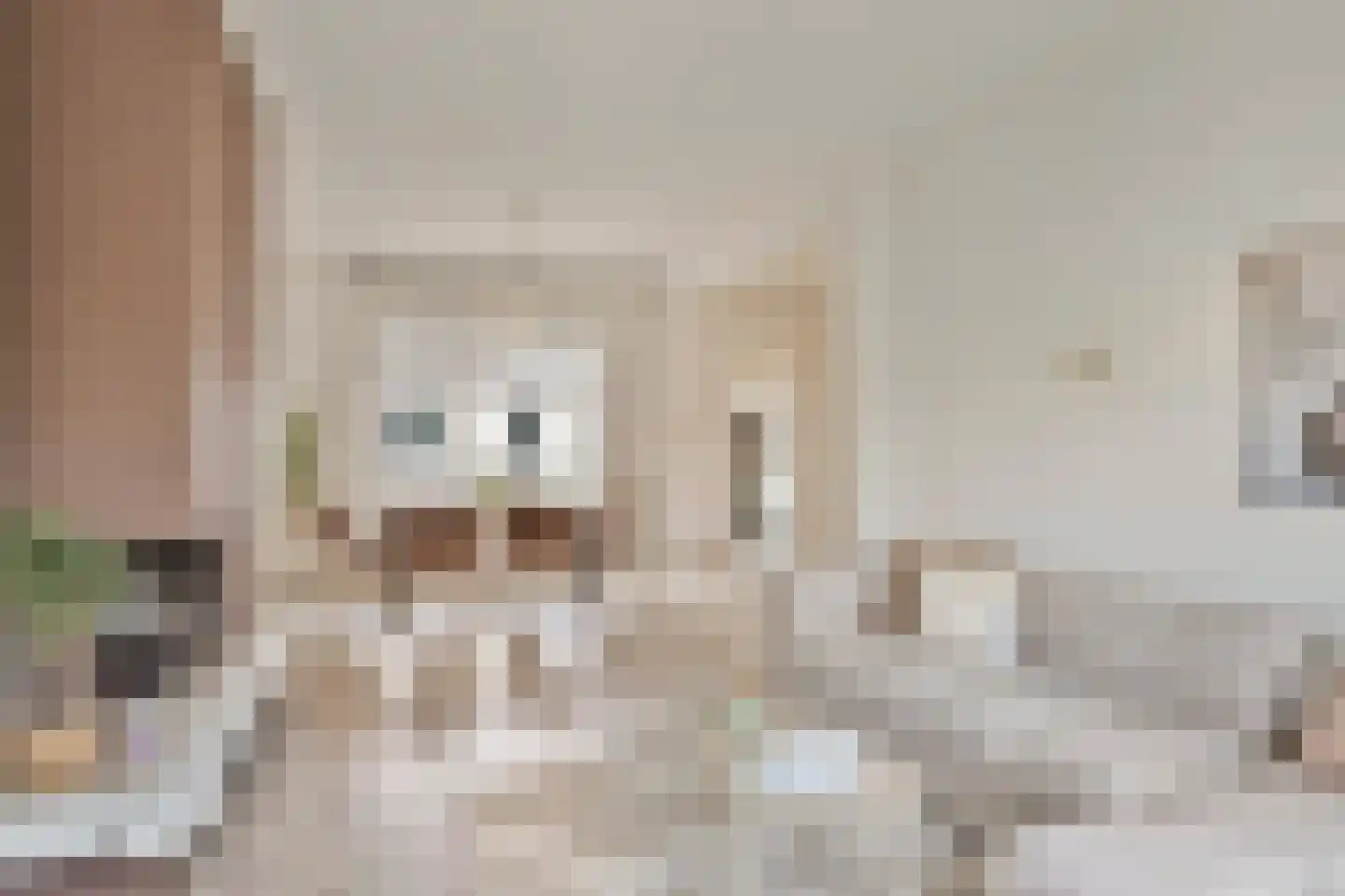 Adelaertstraat 13 Eindhoven thumbnail 11