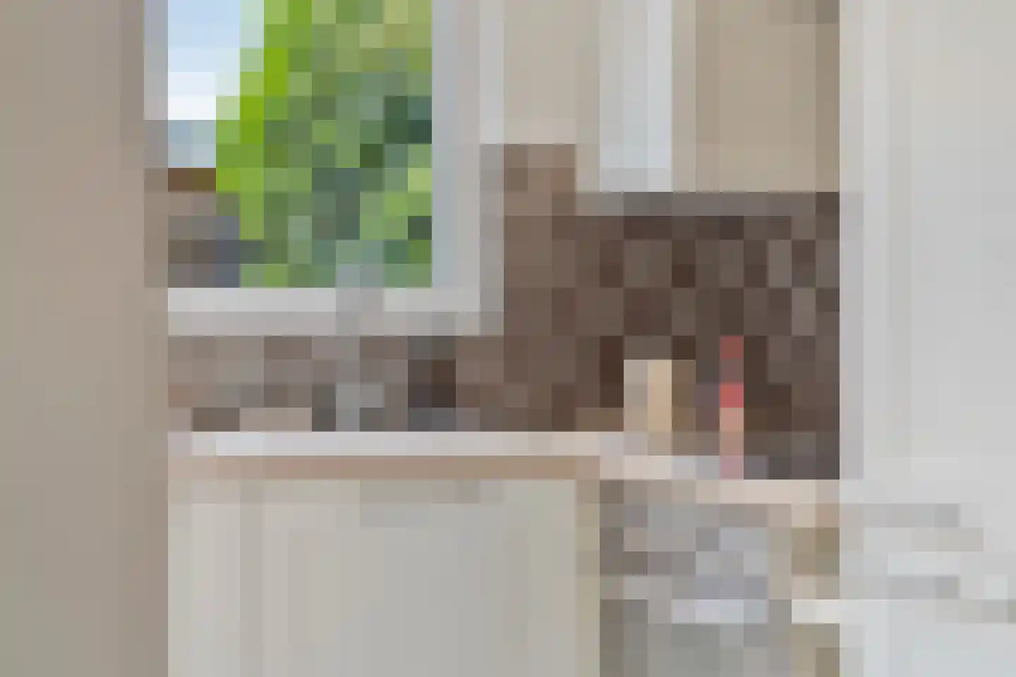 Adelaertstraat 13 Eindhoven thumbnail 18