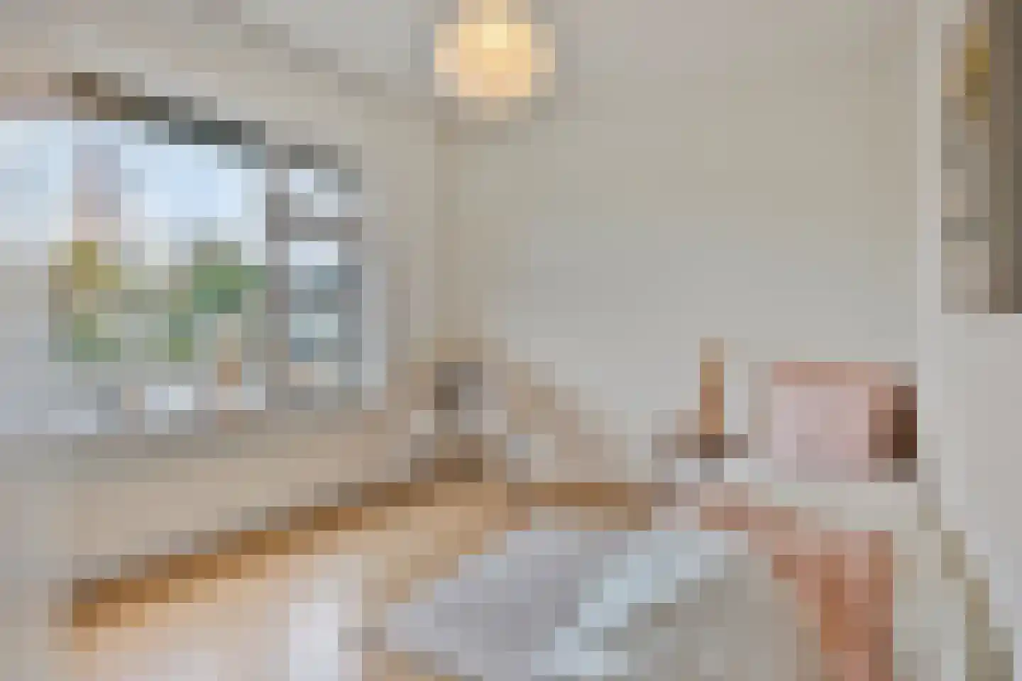 Adelaertstraat 13 Eindhoven thumbnail 24