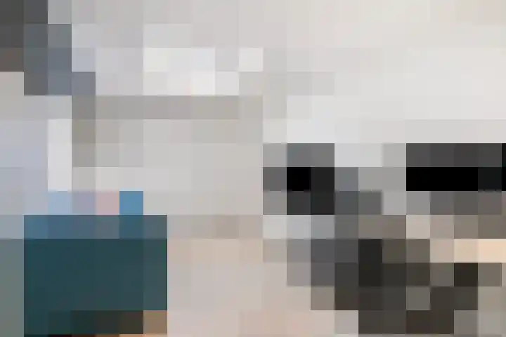 Adelaertstraat 16 Eindhoven thumbnail 11