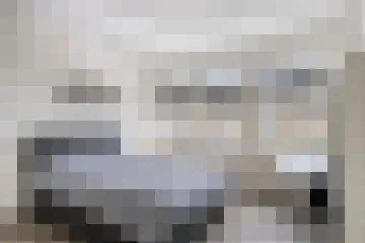 Adelaertstraat 16 Eindhoven thumbnail 15