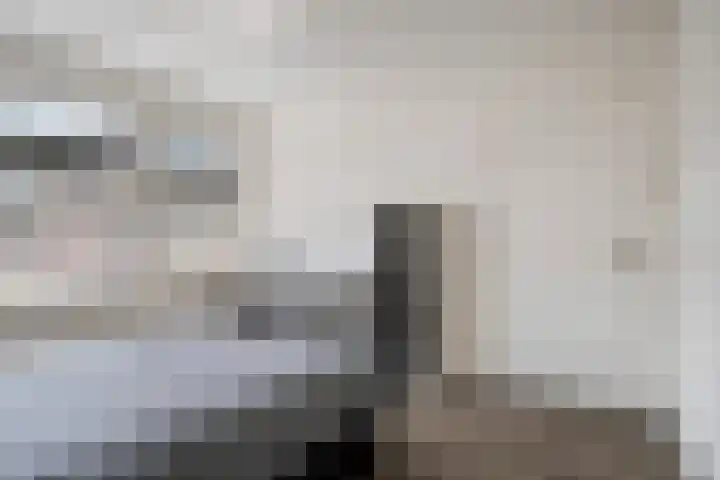 Adelaertstraat 16 Eindhoven thumbnail 16
