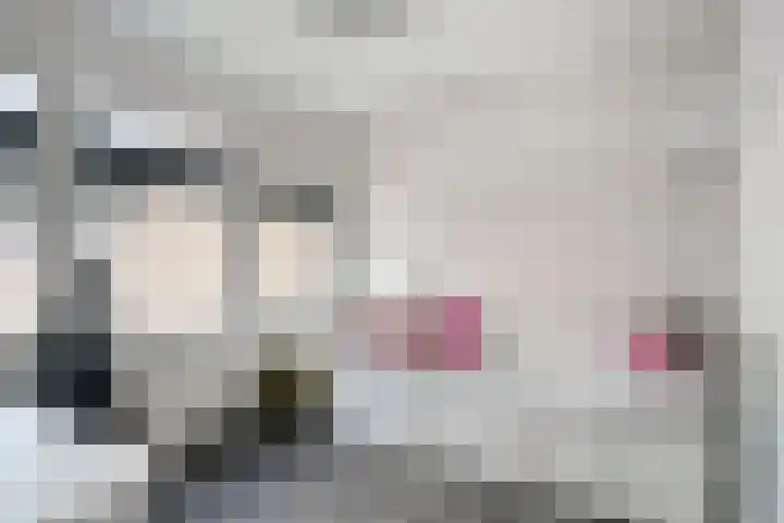 Adelaertstraat 16 Eindhoven thumbnail 19