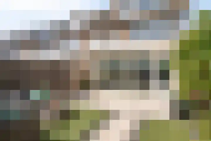 Adelaertstraat 16 Eindhoven thumbnail 24