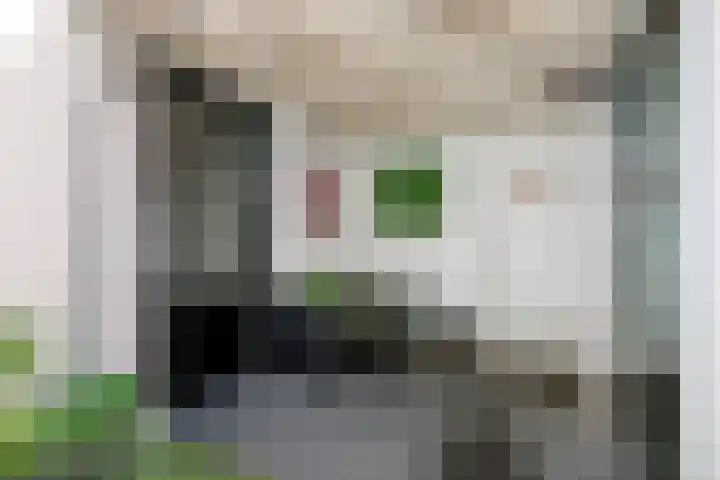 Adelaertstraat 16 Eindhoven thumbnail 26