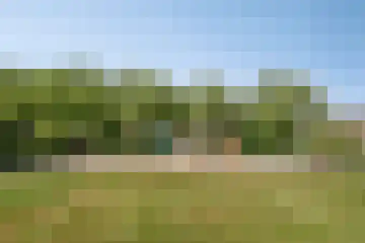 Adelaertstraat 16 Eindhoven thumbnail 30