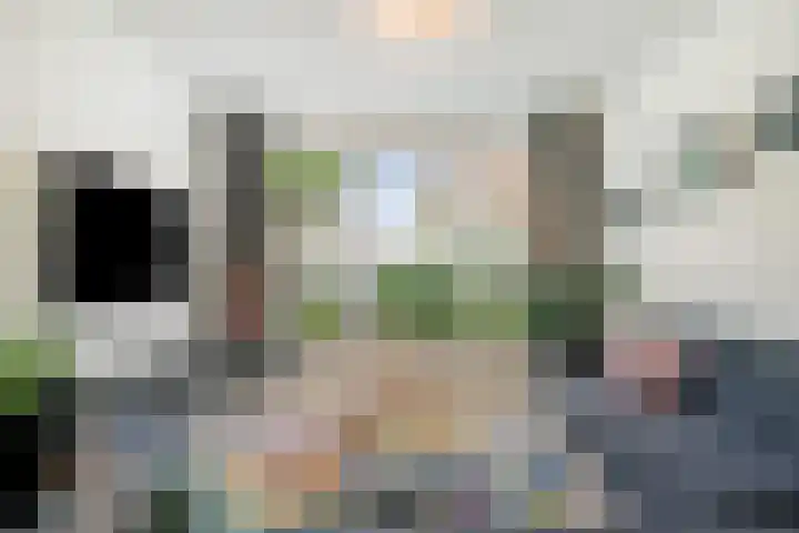 Adelaertstraat 16 Eindhoven thumbnail 5