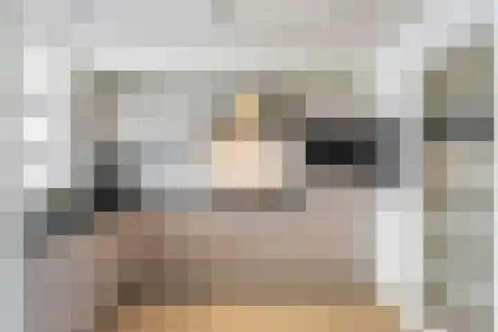 Adelaertstraat 16 Eindhoven thumbnail 9