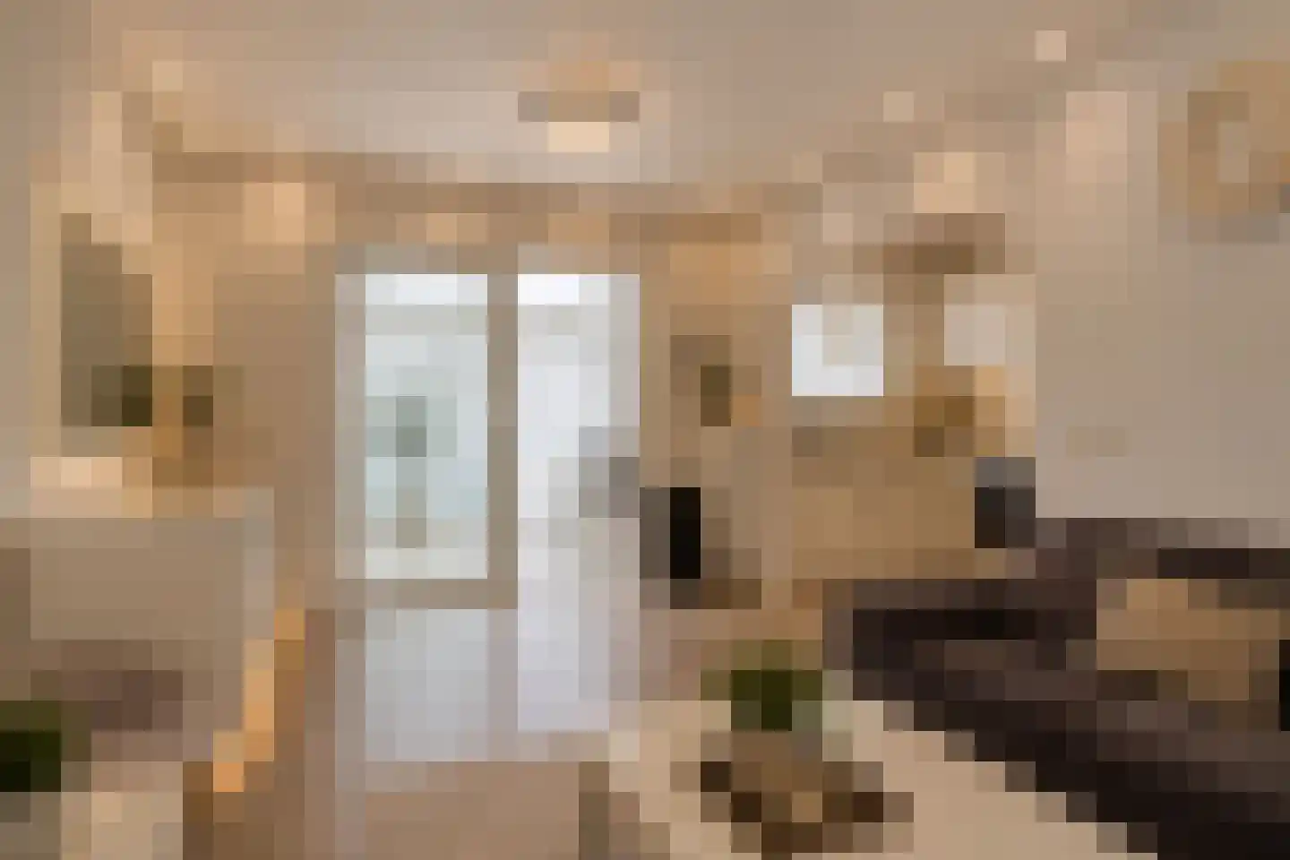 Adelaertstraat 25 Eindhoven thumbnail 10