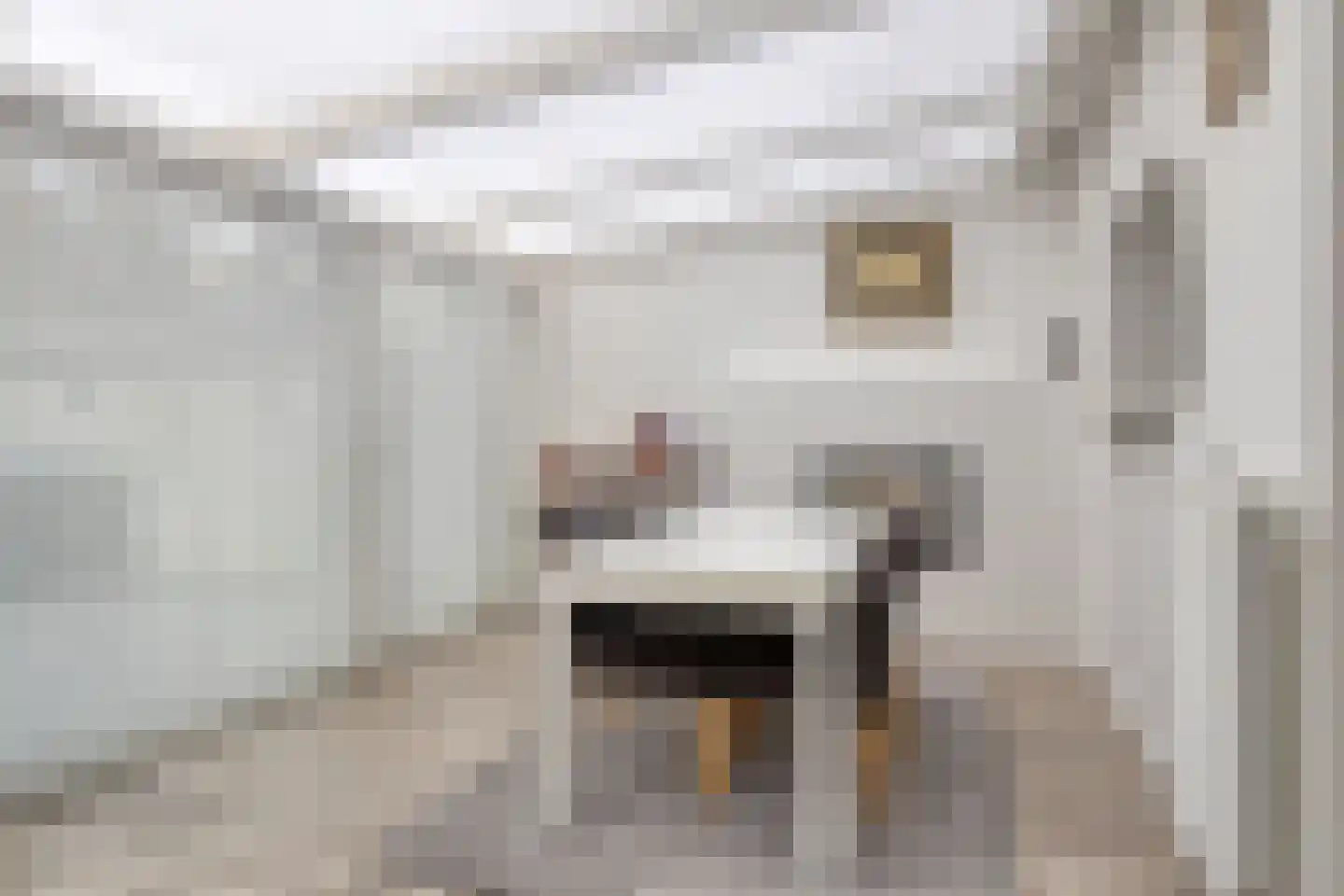 Adelaertstraat 25 Eindhoven thumbnail 11